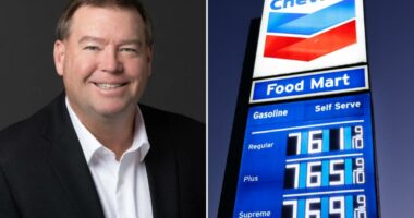 Caliornia climate crackdown could âcollapseâ oil industry